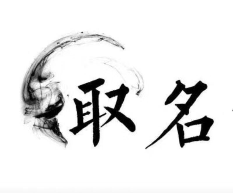  雁峰宝宝取名 大师一对一人工起名